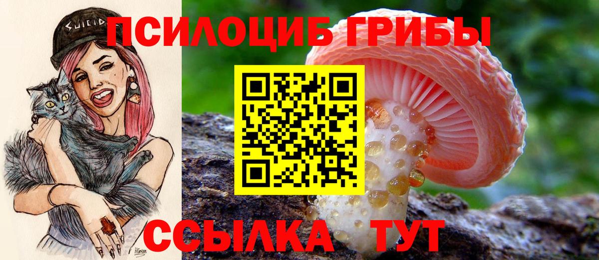 сколько стоит  Галлюциногенные грибы Magic Shrooms  Вход с VPN  Москва  Галлюциногенные грибы MAGIC MUSHROOMS 